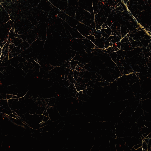 Existe : Esprit Sensible, Monde Fragile Existe : Esprit Sensible, Monde Fragile